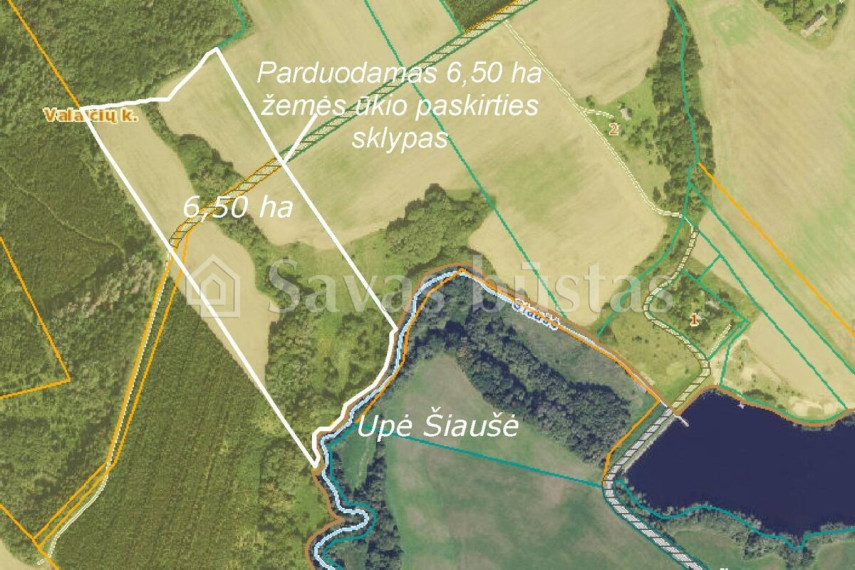 Parduodamas  sklypas Valaičių k., Kelmės r. sav., 650 a ploto 5