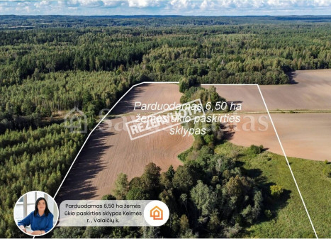Parduodamas sklypas Valaičių k., Kelmės r. sav., 650 a ploto Parduodamas sklypas Valaičių k., Kelmės r. sav., 650 a ploto