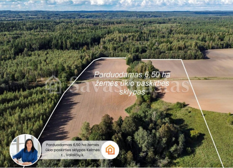 Parduodamas sklypas Valaičių k., Kelmės r. sav., 650 a ploto Parduodamas sklypas Valaičių k., Kelmės r. sav., 650 a ploto