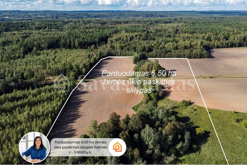 Parduodamas  sklypas Valaičių k., Kelmės r. sav., 650 a ploto 1