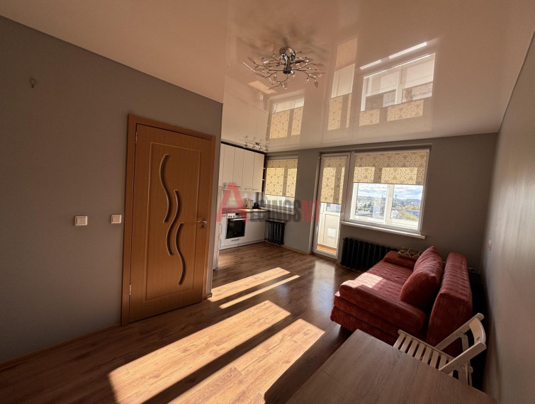 Parduodamas butas Šilutės pl., Kauno, Klaipėdos m., Klaipėdos m. sav., 28.00 m² ploto 1 kambarys 7