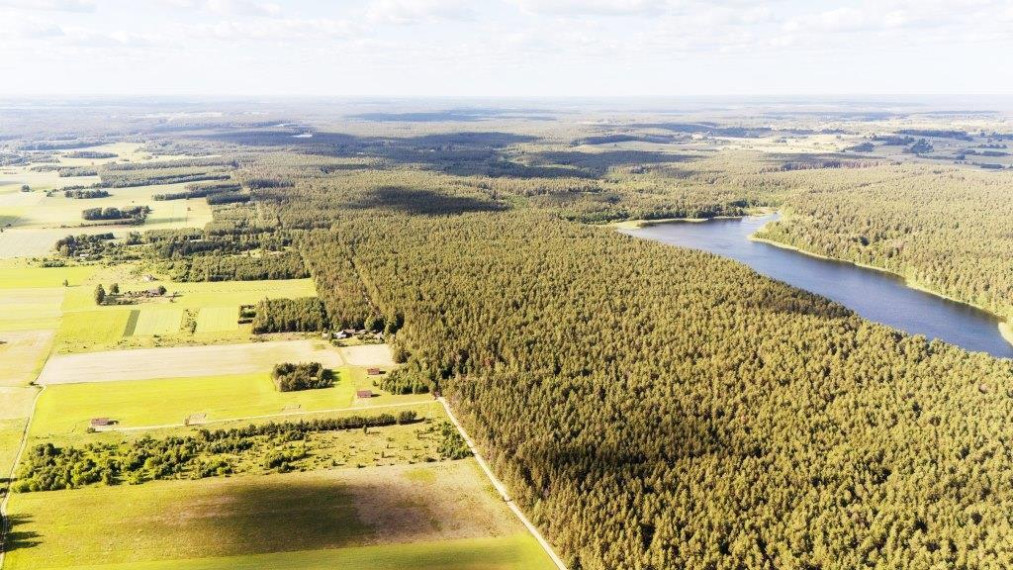 Parduodamas kitos paskirties sklypas Paežerės g., Veršių k., Druskininkų sav., 58.35 a ploto 3