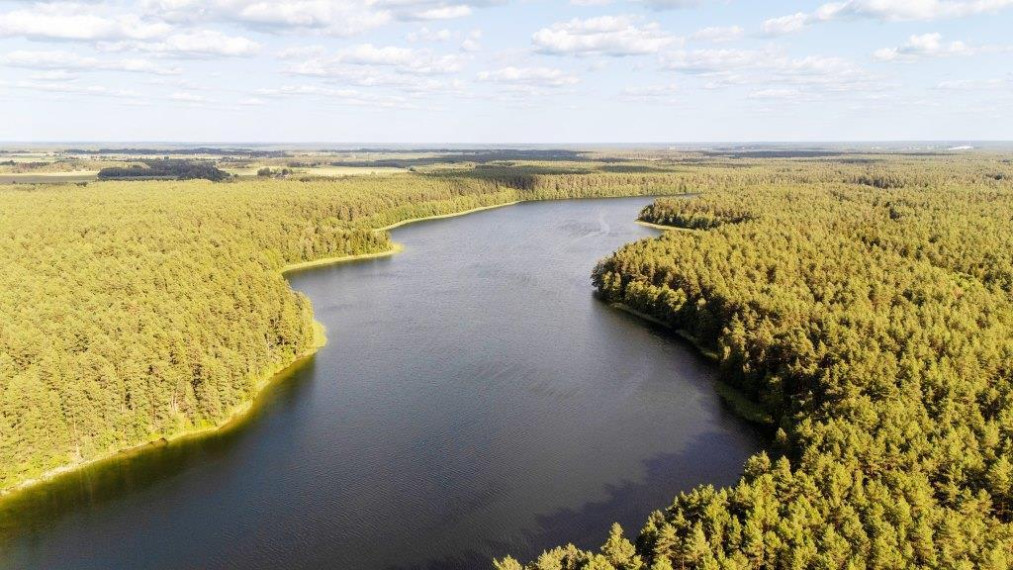 Parduodamas kitos paskirties sklypas Paežerės g., Veršių k., Druskininkų sav., 58.35 a ploto 6