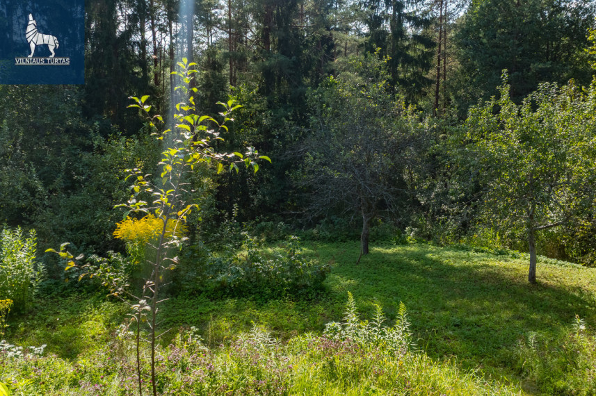 Parduodamas  sklypas Pušyno al., Rastinėnų k., Vilniaus r. sav., 12 a ploto 7