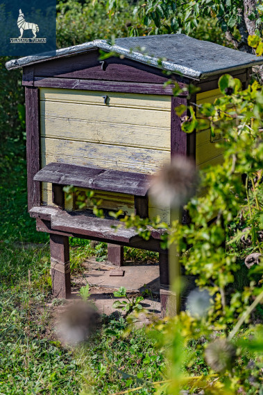 Parduodamas  sklypas Pušyno al., Rastinėnų k., Vilniaus r. sav., 12 a ploto 9