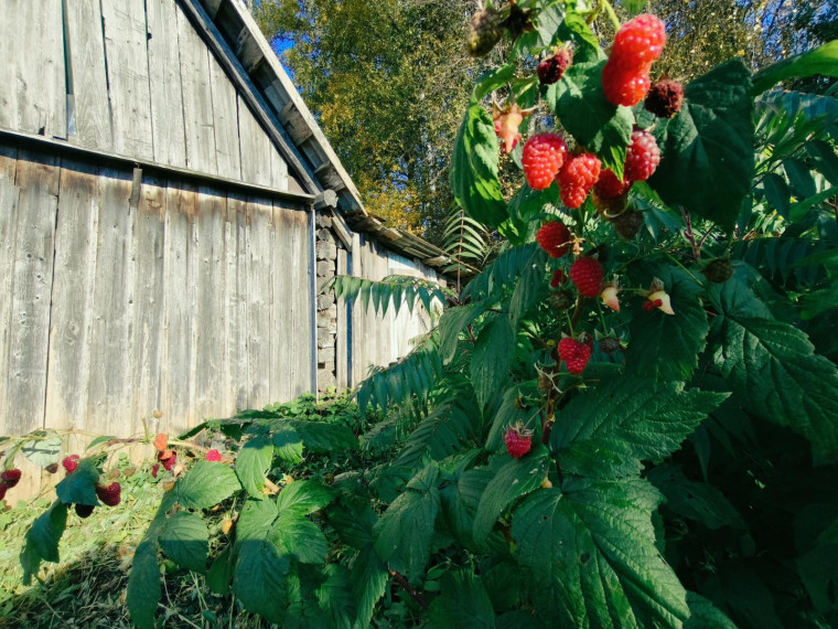 Parduodamas namas Lakštingalų g., Liaušių k., Ukmergės r. sav., 136.00 m² ploto 6 kambariai 25