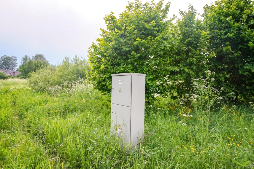 Parduodamas kitos paskirties sklypas Verslo, Maksvytiškių k., Panevėžio r. sav., 42.98 a ploto 1