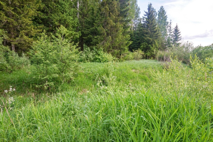 Parduodamas kitos paskirties sklypas Verslo, Maksvytiškių k., Panevėžio r. sav., 42.98 a ploto 3