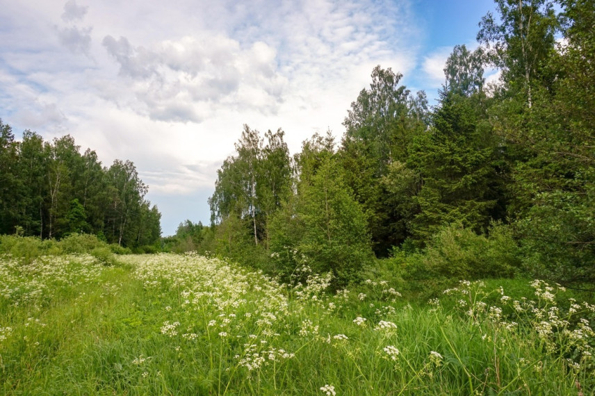 Parduodamas kitos paskirties sklypas Verslo, Maksvytiškių k., Panevėžio r. sav., 42.98 a ploto 4
