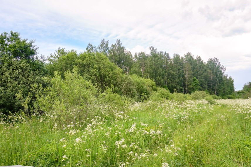 Parduodamas kitos paskirties sklypas Verslo, Maksvytiškių k., Panevėžio r. sav., 42.98 a ploto 5