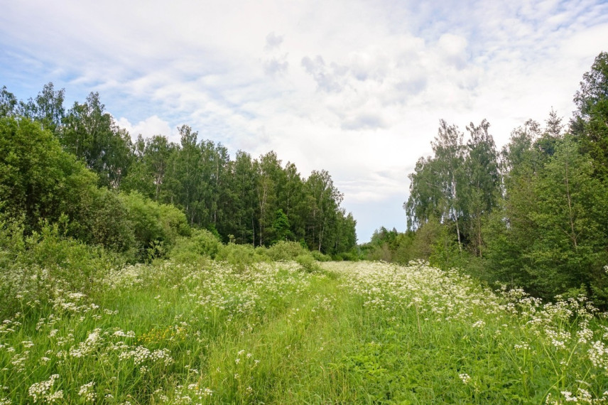 Parduodamas kitos paskirties sklypas Verslo, Maksvytiškių k., Panevėžio r. sav., 42.98 a ploto 7