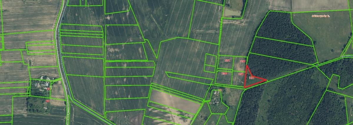 Parduodamas kitos paskirties sklypas Verslo, Maksvytiškių k., Panevėžio r. sav., 42.98 a ploto 8