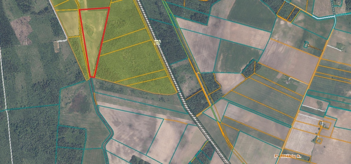 Parduodamas  sklypas Eigirdų k., Panevėžio r. sav., 1166 a ploto 2