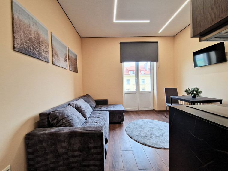 Nuomojamas butas Švitrigailos g., Naujamiestis, Vilniaus m., Vilniaus m. sav., 17 m2 ploto, 1 kambariai 2