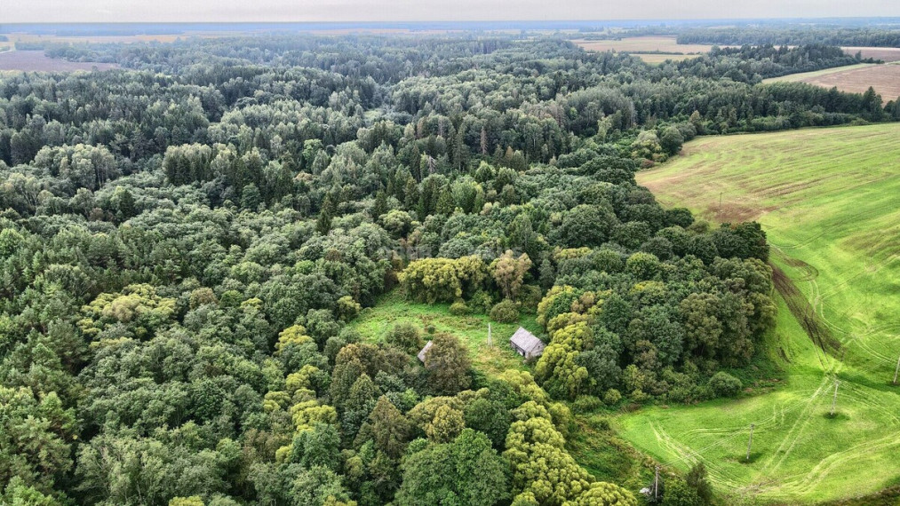 Parduodamas namų valdos paskirties sklypas Šilininkų k., Raseinių r. sav., 16 a ploto 4