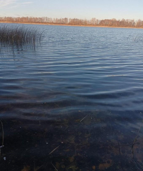 Parduodamas sklypas Pasuosio vs., Anykščių r. sav., 650 a ploto 1
