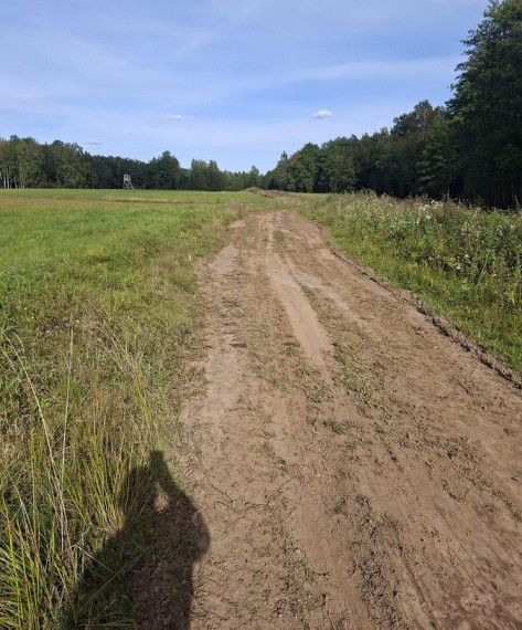 Parduodamas sklypas Pasuosio vs., Anykščių r. sav., 650 a ploto 4