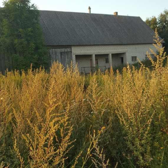 Parduodamas namas Dvarviečių k., Telšių r. sav., 161.86 m² ploto 3 kambariai 4