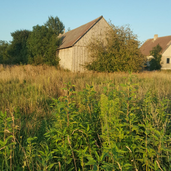 Parduodamas namas Dvarviečių k., Telšių r. sav., 161.86 m² ploto 3 kambariai 6