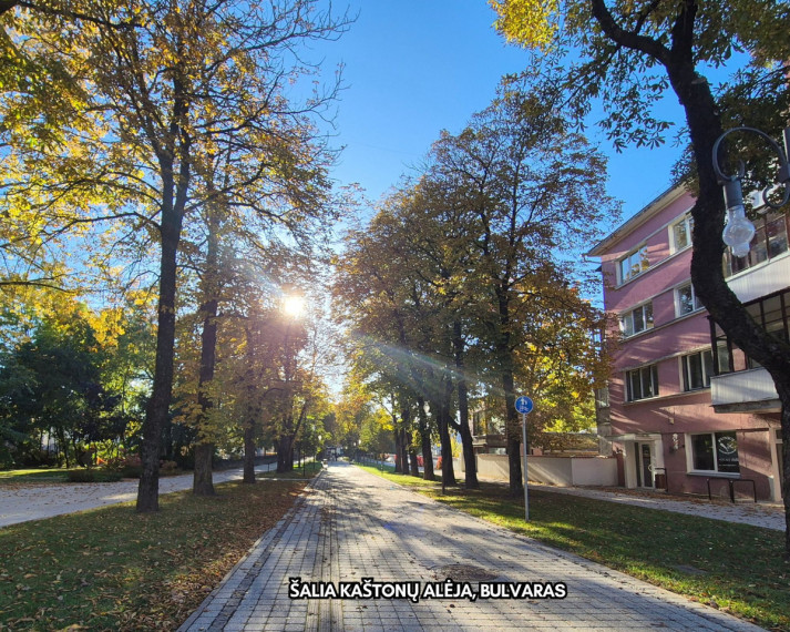 Parduodamos administracinės, gamybinės, kitos paskirties, maitinimo, paslaugų, prekybos, sandėliavimo patalpos Aušros al., Centras, Šiaulių m., Šiaulių m. sav., 1736.16 m2 ploto 36
