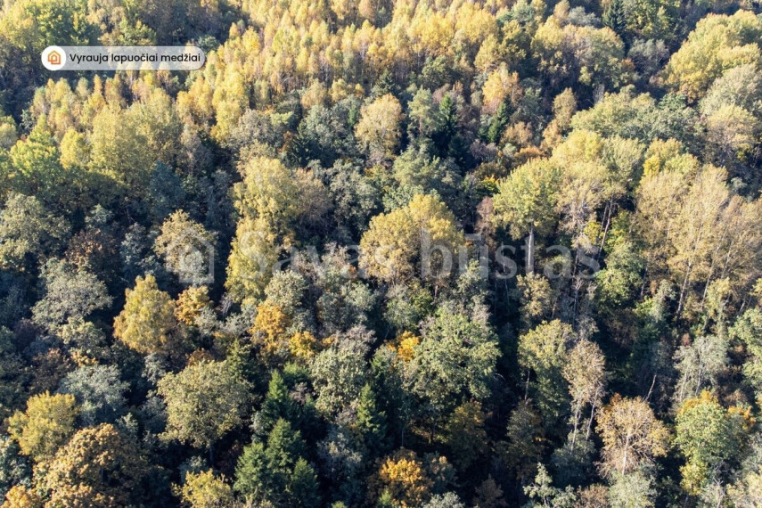 Parduodamas  sklypas Šluiniškių k., Vilniaus r. sav., 1135 a ploto 4