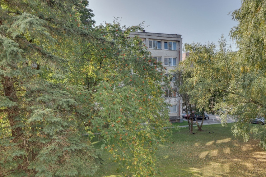 Nuomojamas butas Studentų g., Žvėrynas, Vilniaus m., Vilniaus m. sav., 18 m2 ploto, 1 kambariai 7