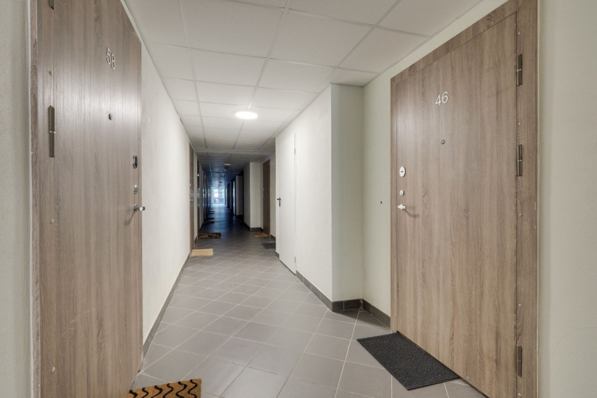 Nuomojamas butas Studentų g., Žvėrynas, Vilniaus m., Vilniaus m. sav., 18 m2 ploto, 1 kambariai 16