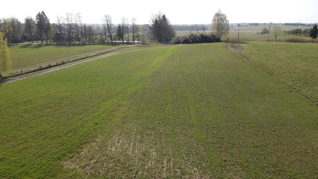 Parduodamas sklypas Jonių k., Širvintų r. sav., 590 a ploto 4
