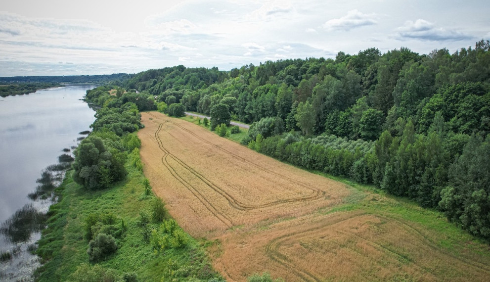 Parduodamas  sklypas Altoniškių k., Kauno r. sav., 801 a ploto 11
