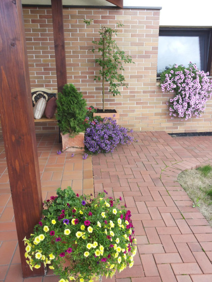 Parduodamas namas Salos g., Raizgių k., Šiaulių r. sav., 232.04 m² ploto 6 kambariai 25