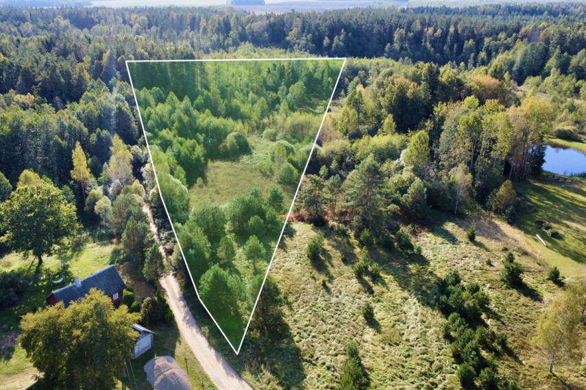 Parduodamas sklypas Liepynų g., Liepynų k., 87.47 a ploto 4