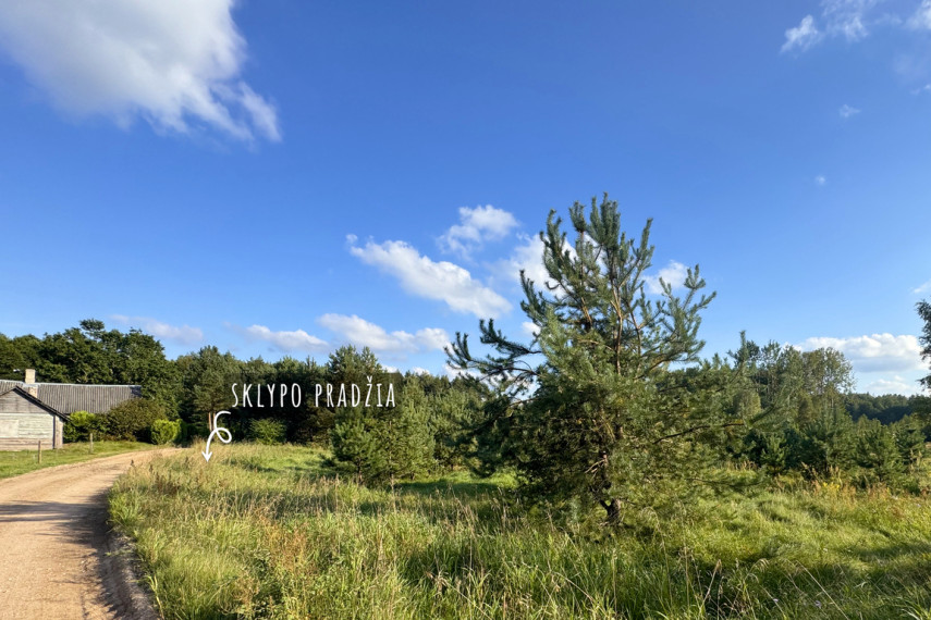 Parduodamas sklypas Liepynų g., Liepynų k., 87.47 a ploto 7