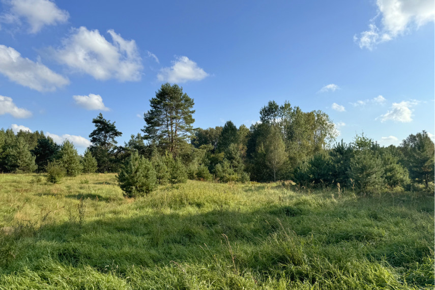 Parduodamas sklypas Liepynų g., Liepynų k., 87.47 a ploto 8