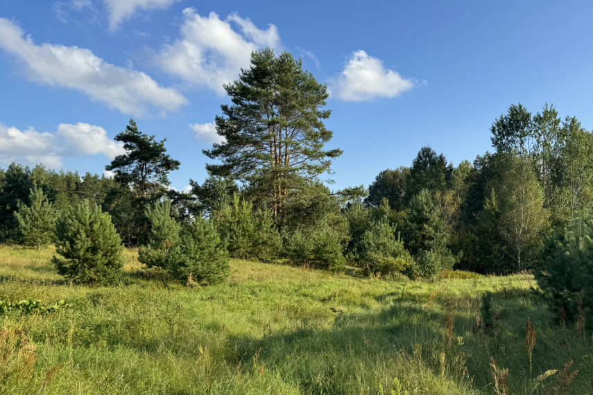 Parduodamas sklypas Liepynų g., Liepynų k., 87.47 a ploto 9