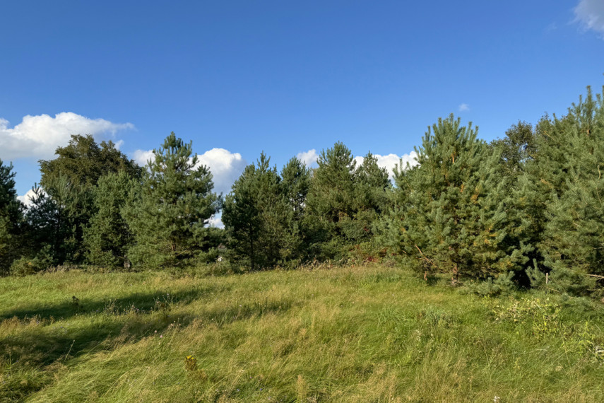 Parduodamas sklypas Liepynų g., Liepynų k., 87.47 a ploto 10