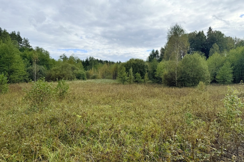Parduodamas sklypas Liepynų g., Liepynų k., 87.47 a ploto 12