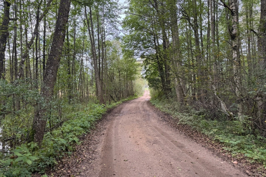 Parduodamas sklypas Liepynų g., Liepynų k., 87.47 a ploto 14