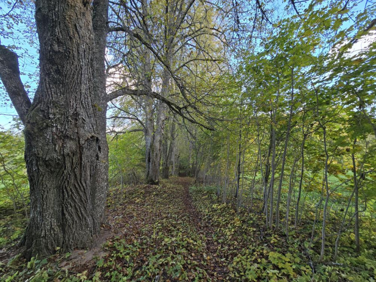 Parduodamas namas Sidariškių vs., Ignalinos r. sav., 61.10 m² ploto 4 kambariai 17