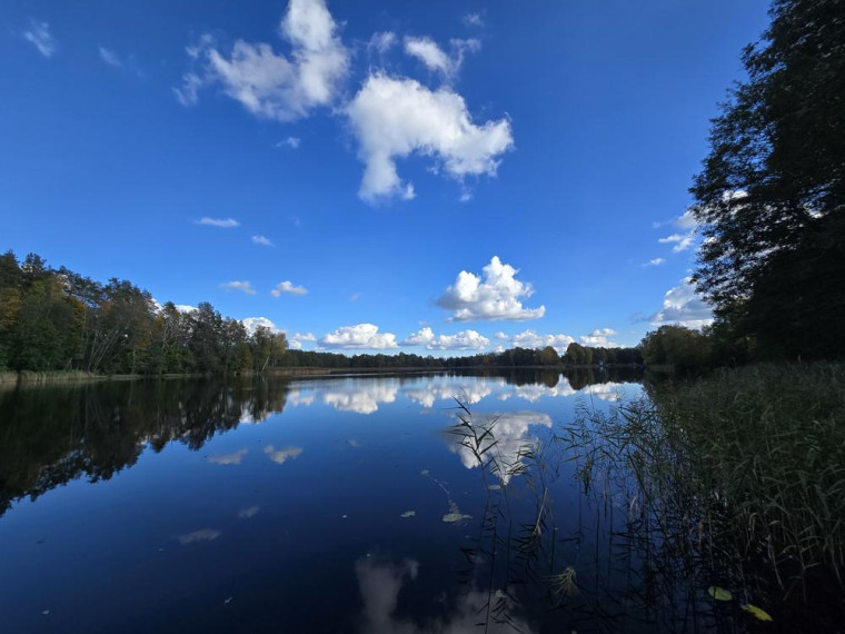 Parduodamas namas Sidariškių vs., Ignalinos r. sav., 61.10 m² ploto 4 kambariai 22