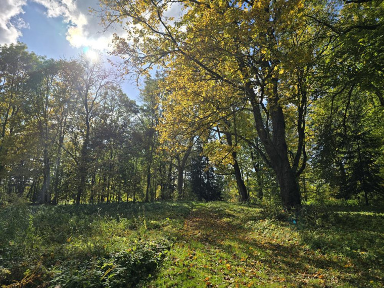 Parduodamas namas Sidariškių vs., Ignalinos r. sav., 61.10 m² ploto 4 kambariai 24