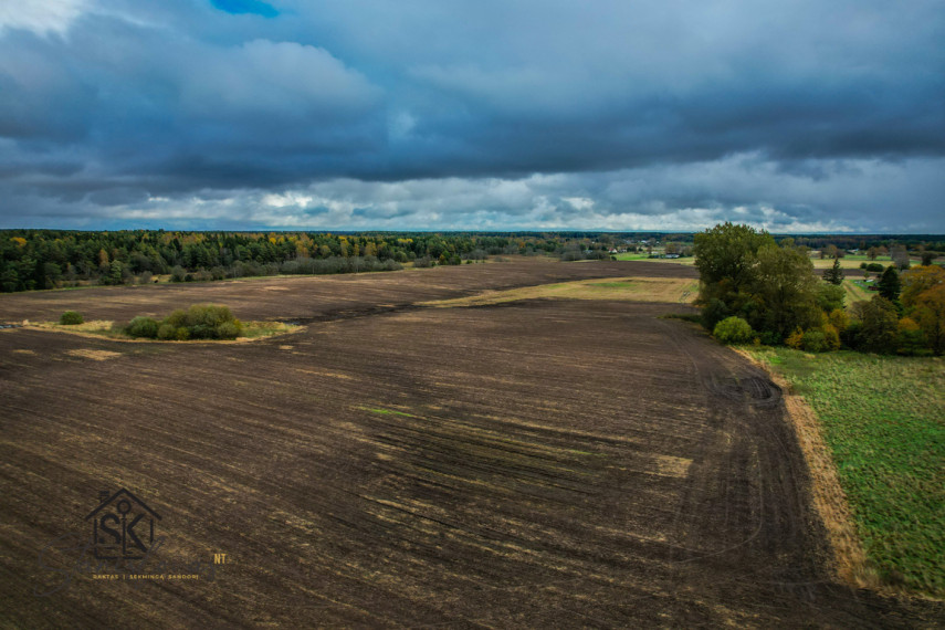 PRIE LAZDININKŲ TVENKINIO PARDUODAMAS 2.94 HA SKLYPAS 4