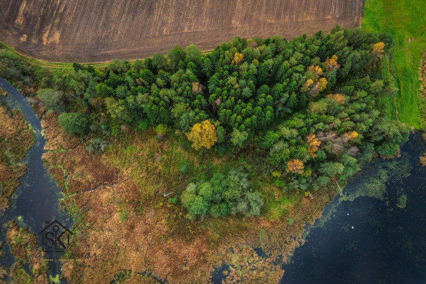 PRIE LAZDININKŲ TVENKINIO PARDUODAMAS 2.94 HA SKLYPAS 18