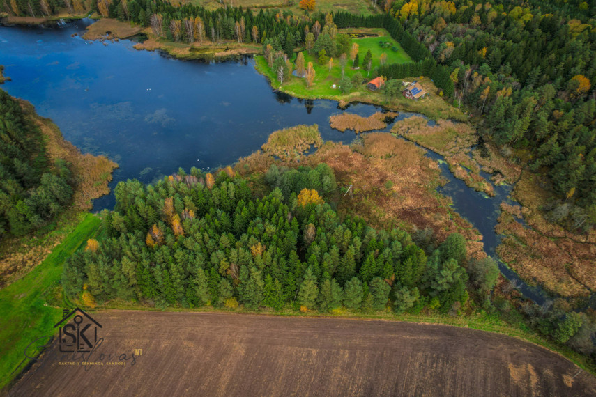 PRIE LAZDININKŲ TVENKINIO PARDUODAMAS 2.94 HA SKLYPAS 19