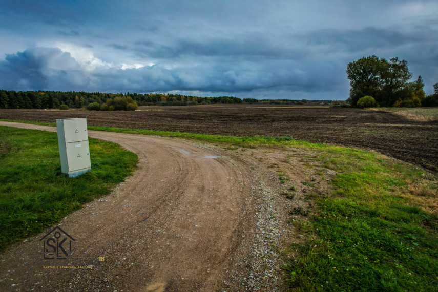 PRIE LAZDININKŲ TVENKINIO PARDUODAMAS 2.94 HA SKLYPAS 21