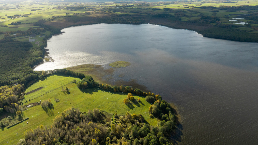 Parduodamas  sklypas Strazdalių k., Šilalės r. sav., 1013.91 a ploto 1