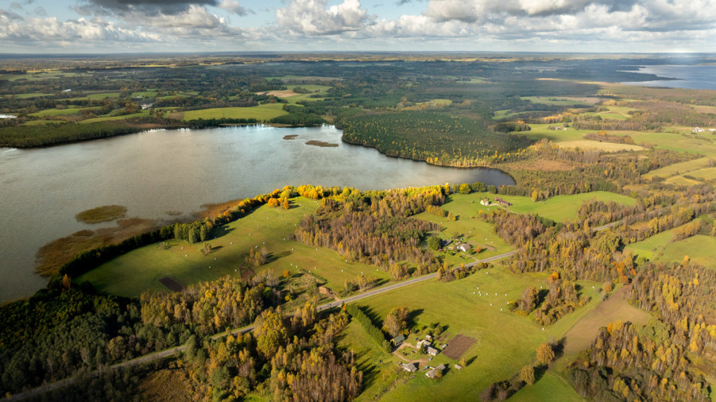 Parduodamas  sklypas Strazdalių k., Šilalės r. sav., 1013.91 a ploto 6