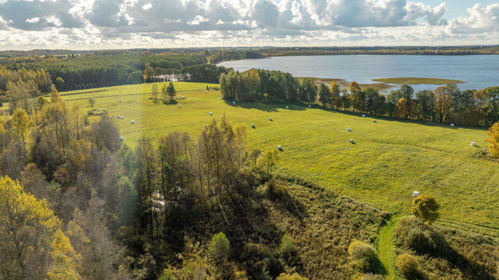 Parduodamas  sklypas Strazdalių k., Šilalės r. sav., 1013.91 a ploto 8