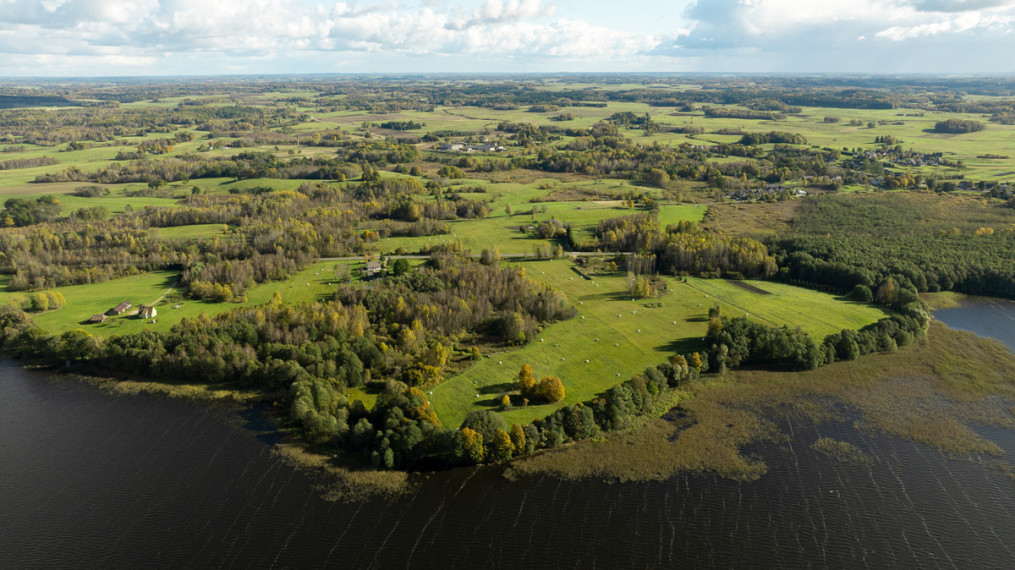 Parduodamas  sklypas Strazdalių k., Šilalės r. sav., 1013.91 a ploto 9