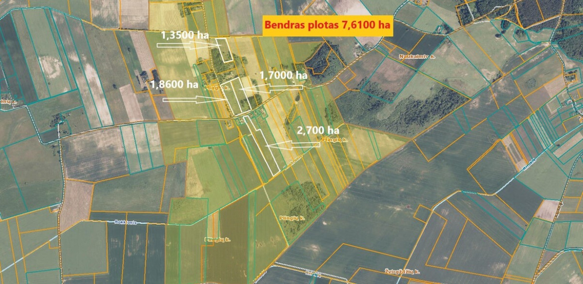Parduodamas  sklypas Plingių k., Raseinių r. sav., 761 a ploto 5