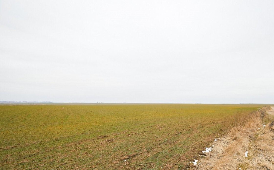 Parduodamas sklypas Vaiškonių k., Jonavos r. sav., 520 a ploto 15